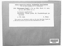Image Associated With the Occurence